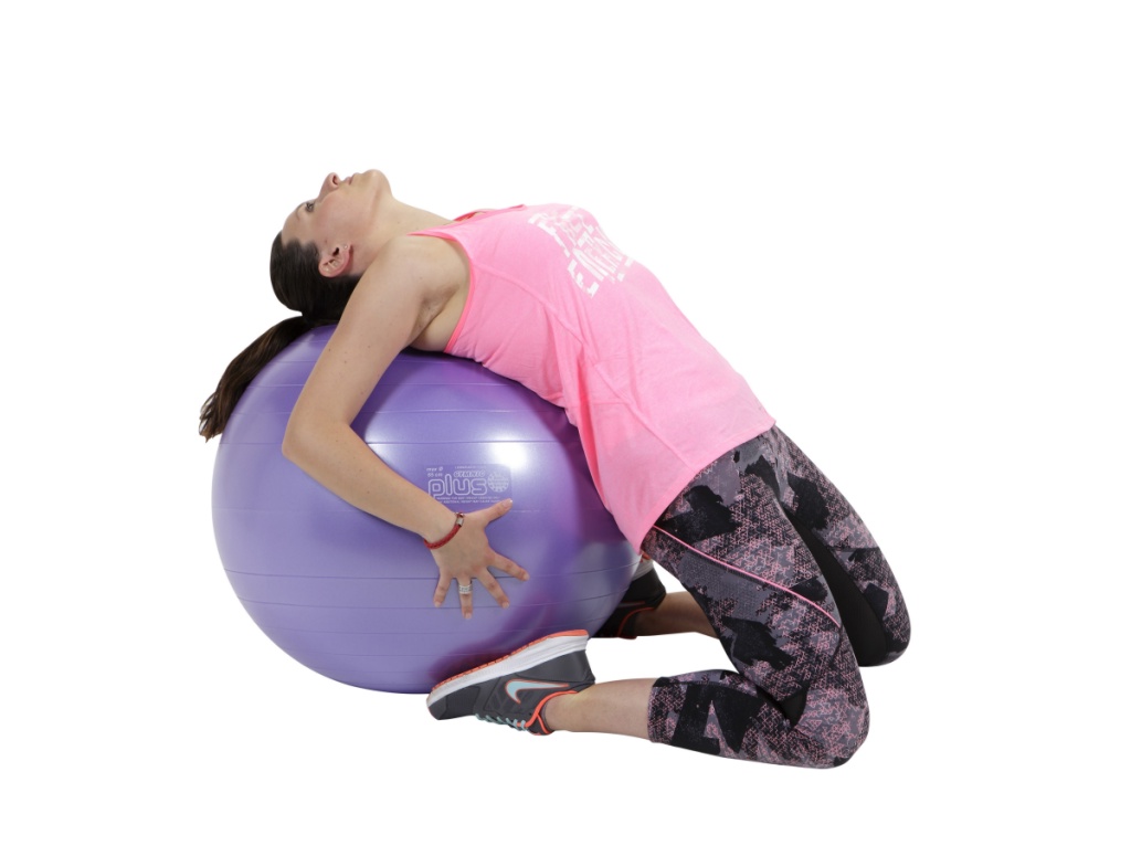 Fitlopta Gymnic Plus 65 cm fialová (Ledraplastic Italy) GYMSPORT.sk