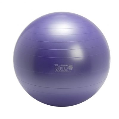Fitlopta Gymnic Plus 65 cm - fialová (Ledraplastic Italy)